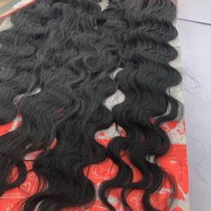 First Lady (Mongolian wishful)